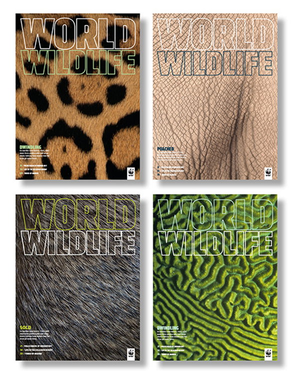 WWF_Covers2-1.jpg