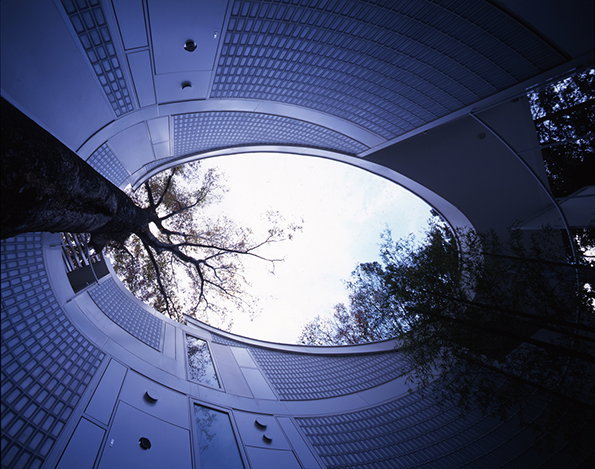 A low-angle shot looking up through a circular opening in a white, curved building. The silhouettes of bare tree branches reach across the bright sky.