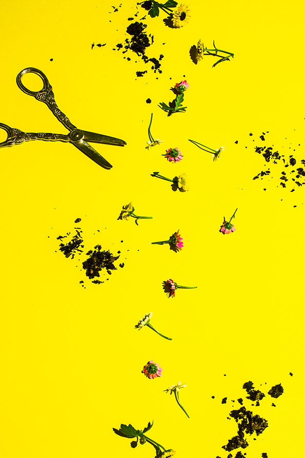 flowers6---layout.png