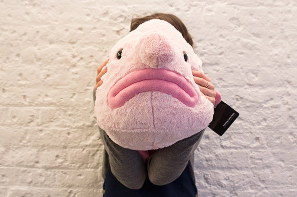 Blob-2.jpg