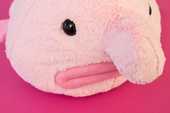 Blob-4.jpg