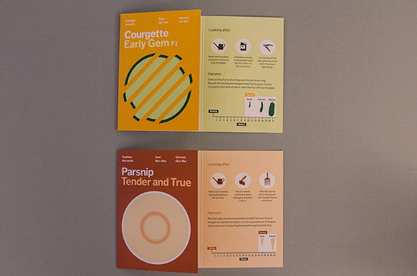 Seeds-3.jpg