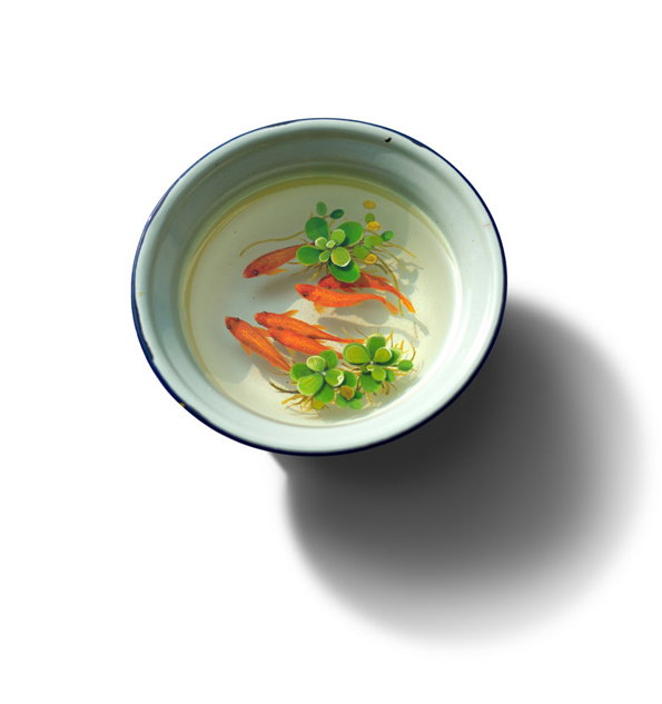 keng_lye_fish_.jpg