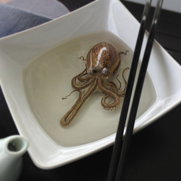 keng_lye_octopus2.jpg