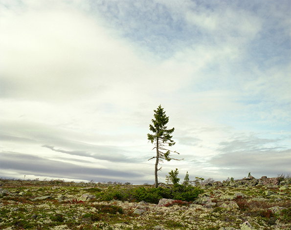 oldest-1.jpg