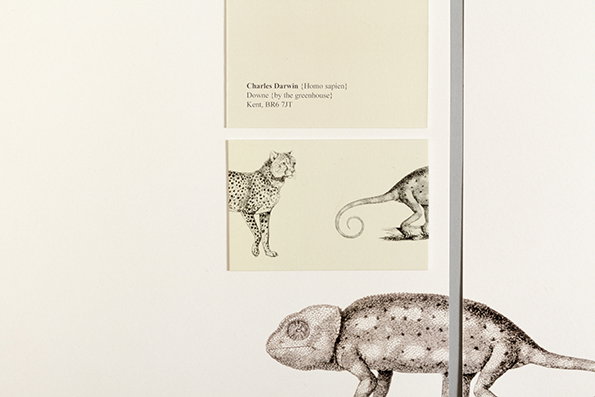moo-historical-figures-charles-darwin-009-v2.jpg