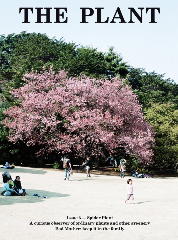 Cover_issue_6.jpg