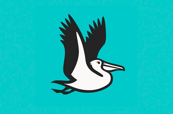 Pelican_Flying.jpg