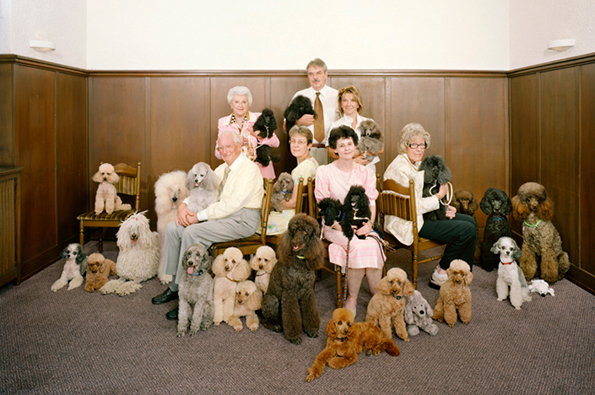 Pudelclub_Kopie_Kopie-1.jpg