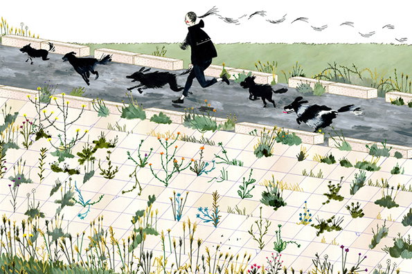 HenryMcCausland2012_Seawall.jpg