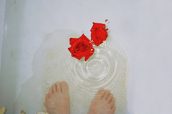 30317-5413468-roses.jpg