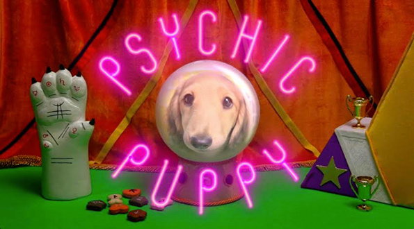 Puppy.jpg