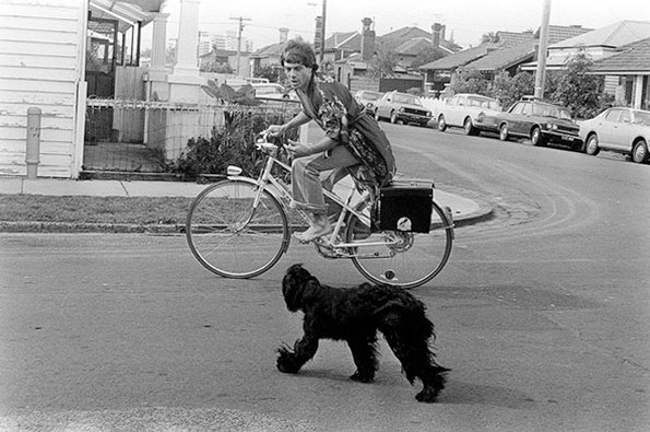 molly_meldrum_dog_1978.jpg