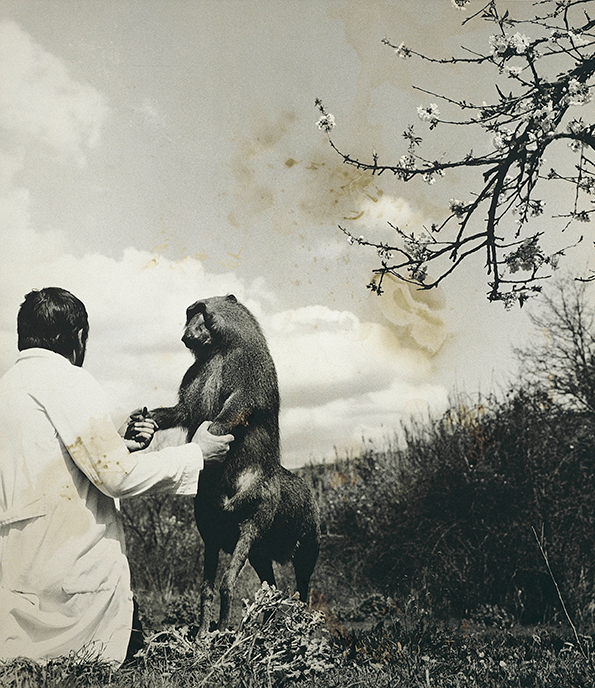 Centaurus-Neandertalensis-from-the-Fauna-series-by-Joan-Fontcuberta-and-Pere-Formiguera_-1987-©-Joan-Fontcuberta-and-Pere-Formiguera.png