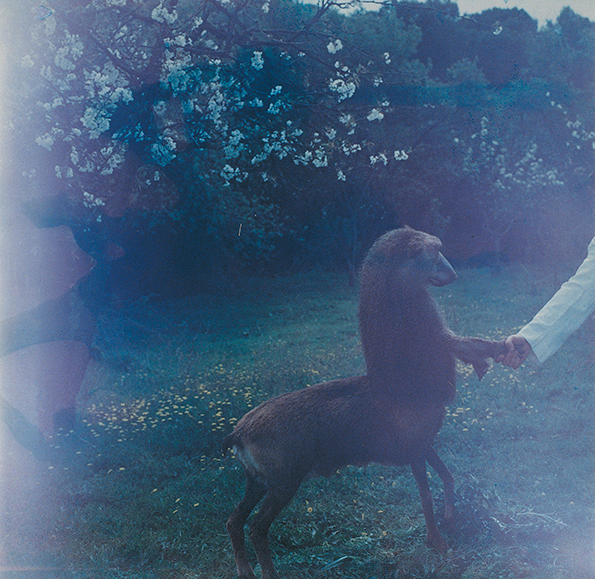 Centaurus-Neandertalensis-2-from-the-Fauna-series-by-Joan-Fontcuberta-and-Pere-Formiguera_-1987-©-Joan-Fontcuberta-_-Pere-Formiguera.png