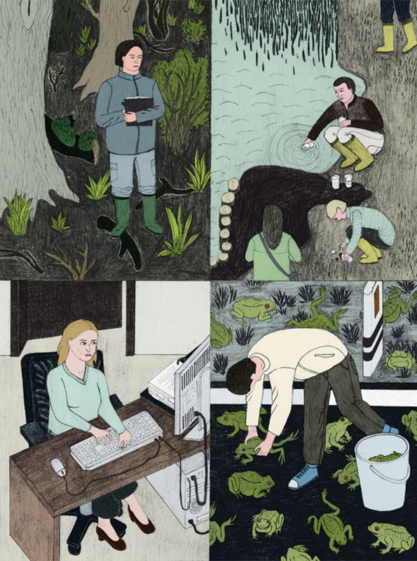 ecologist.jpg