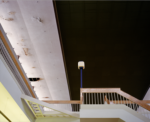 MALL-6.png