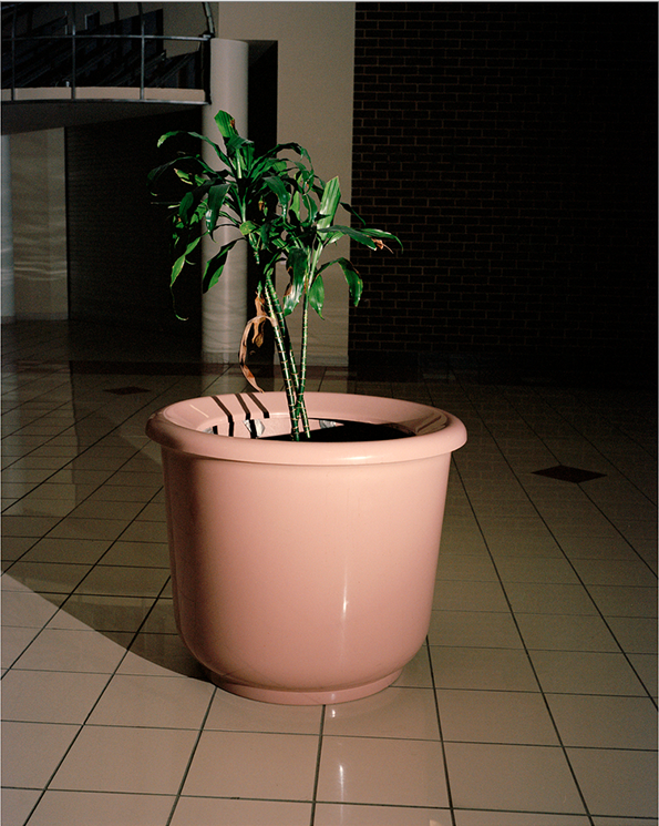 MALL-9.png