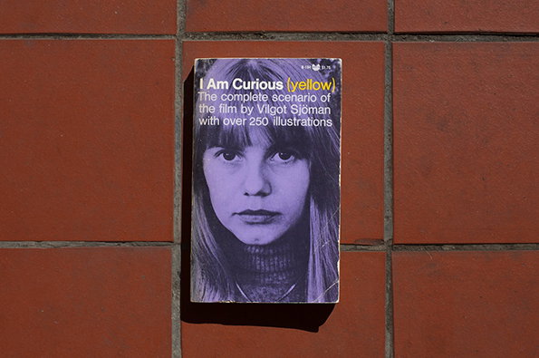 1-curious-01.jpg