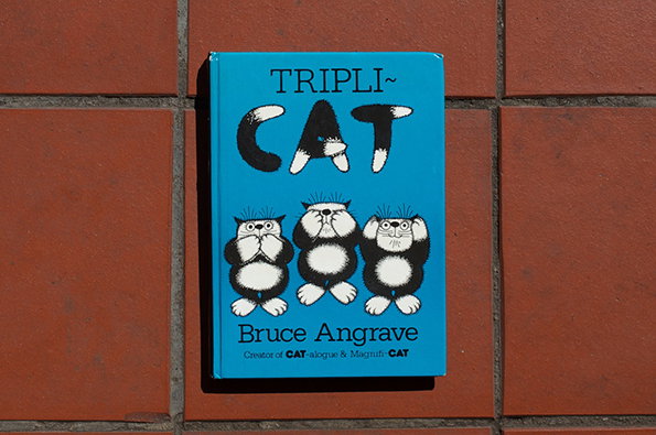 3-cat-01.jpg