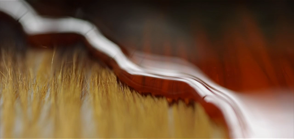 HAIR-1.png