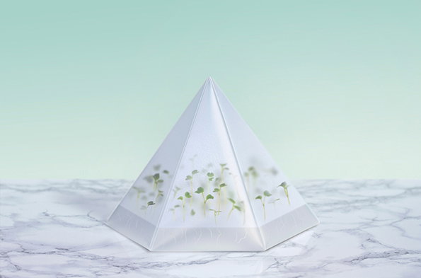 Cress-1.jpg