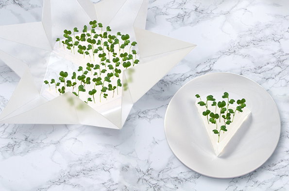 Cress-4.jpg