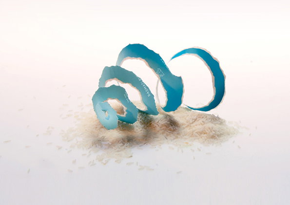 Rice-1.jpg