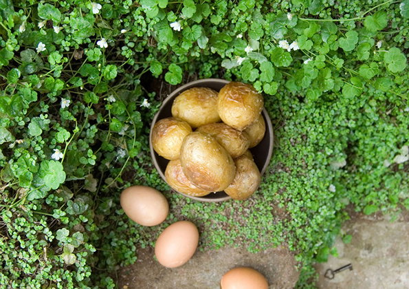 Fictitious_Dishes_thesecretgarden_WEB.jpg