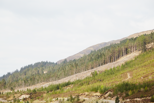 20140425_28_Scotland__MG_6115.png