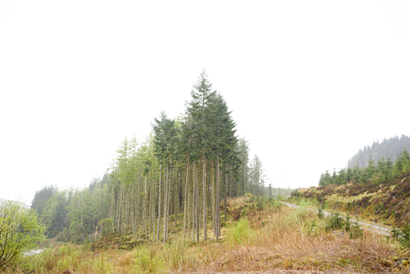 20140425_28_Scotland_DSC00288.png