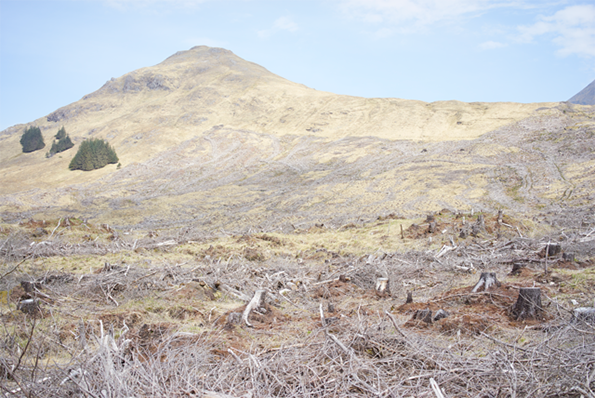 20140425_28_Scotland_DSC00553.png