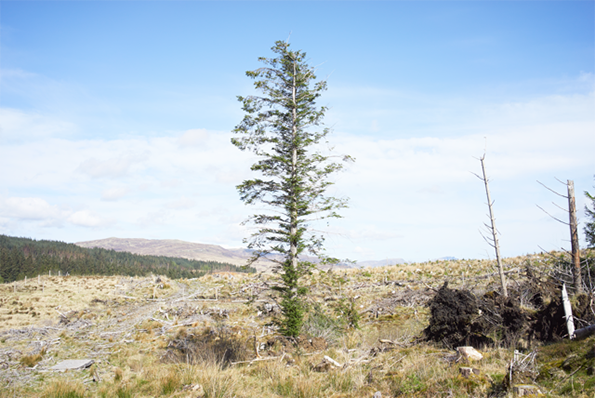 20140425_28_Scotland_DSC00427.png