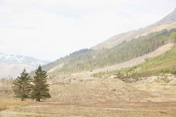 20140425_28_Scotland__MG_6118.png