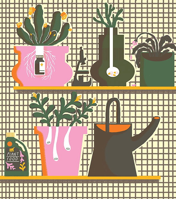 Plants.jpg
