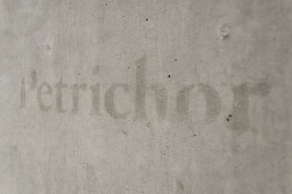 Petrichor.jpg