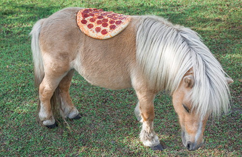 Photos of pizza in the wild by photographer Jonpaul Douglass