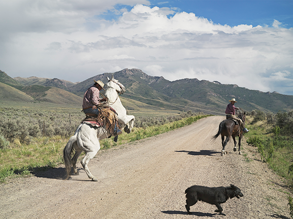 04_LucasFoglia_FRONTCOUNTRY_Casey-and-Rowdy-Horse-Training.png