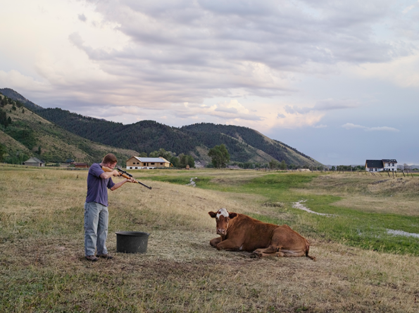 10_LucasFoglia_FRONTCOUNTRY_Adam-Killing-a-Cow.png