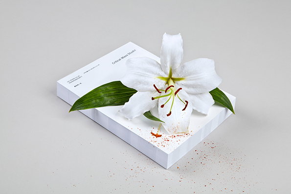 A white lily rests on a thick, white rectangular block. The block features the text “Critical Mass Studio” and contact details.