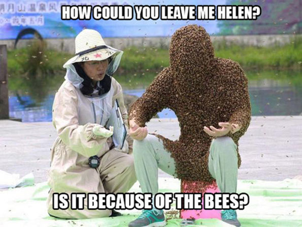 bees.jpg