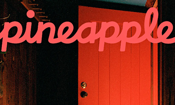 PINEAPPLE_WINTER_2014-_cover.png