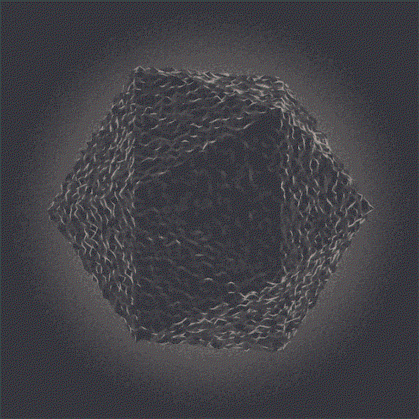 5.gif