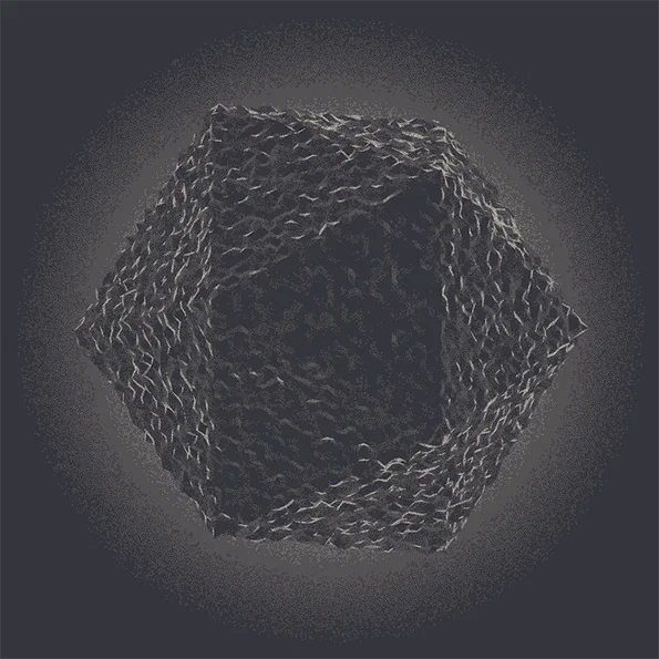 5.gif