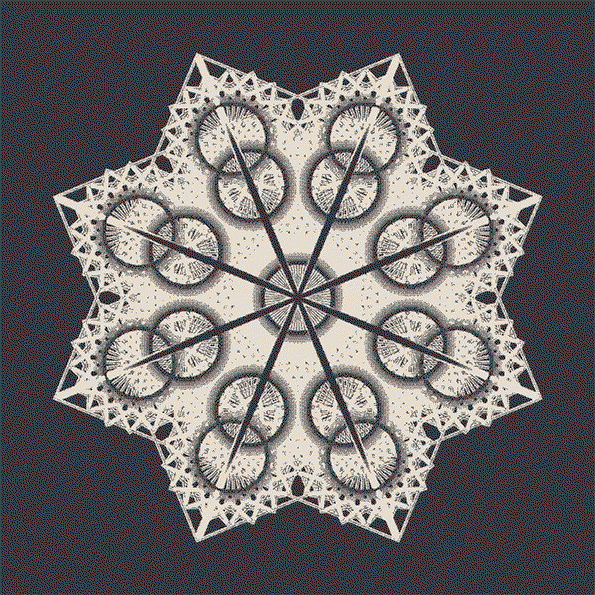 7.gif