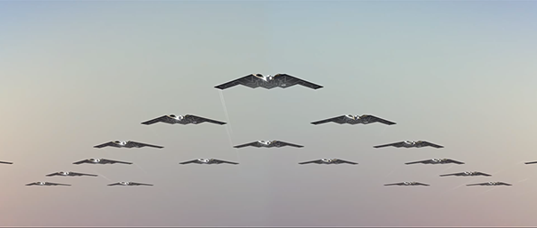 Swan-3.png