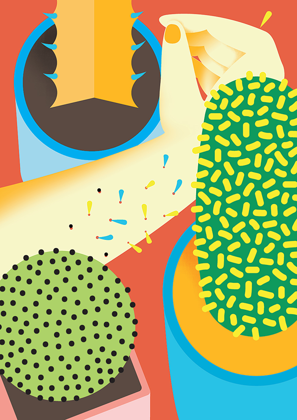 CACTI-Web_900.png