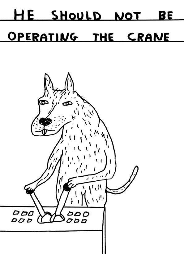 Shrig.jpg