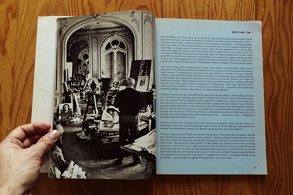 PICASSO-02.jpg