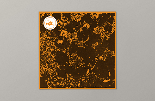 ds_silent_ascent_1_1000.png